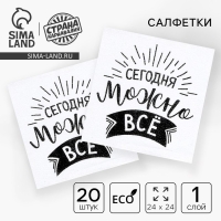 Салфетки бумажные &laquo;Сегодня можно всё&raquo;, однослойные, 24х24 см, набор 20 шт.
