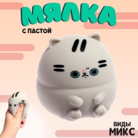 Мялка &laquo;Котик&raquo; с пастой, цвета МИКС
