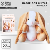 Мягкая игрушка &laquo;Плюшевый зайка Боня&raquo;, набор для шитья, 15,6 &times; 22,4 &times; 5,2 см