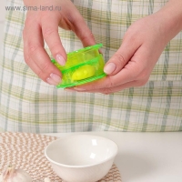 Измельчитель для чеснока Доляна &laquo;Хранитель&raquo;, 8&times;3 см, цвет МИКС