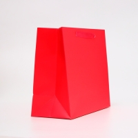 Пакет ламинированный горизонтальный &laquo;Фуксия&raquo;, ML 27 &times; 23 &times; 11.5 см