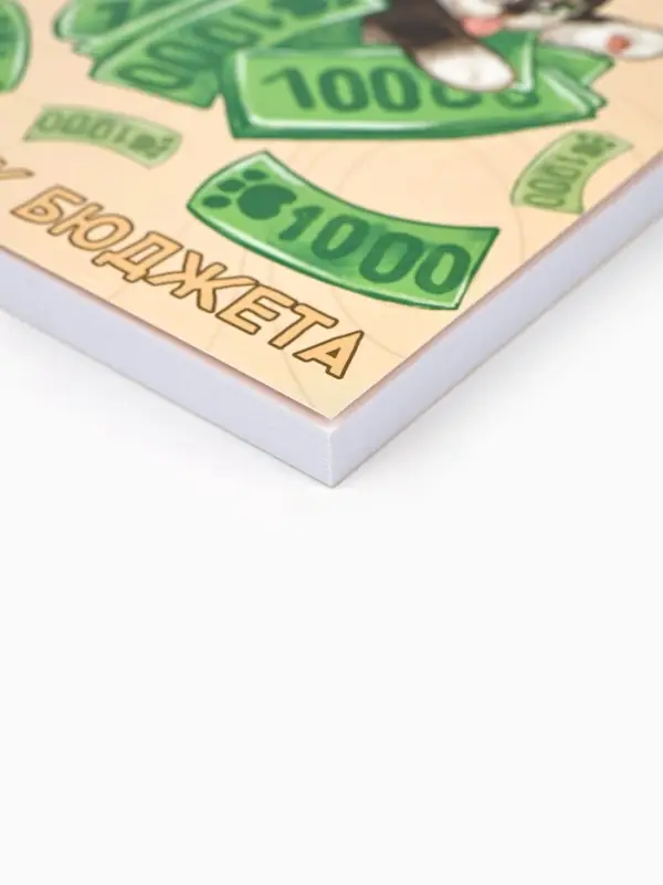 Блокнот для планирования финансов А6, 68 л "Котик"