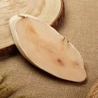 Подставка под горячее "Обычная", 8х20 см, можжевельник