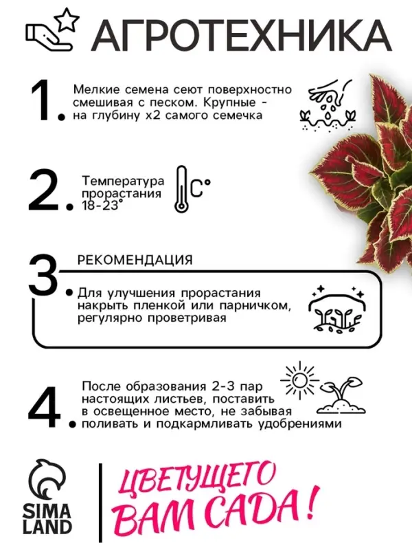 Семена цветов Колеус "Оригинальный", ц/п,  смесь,  0,03  г