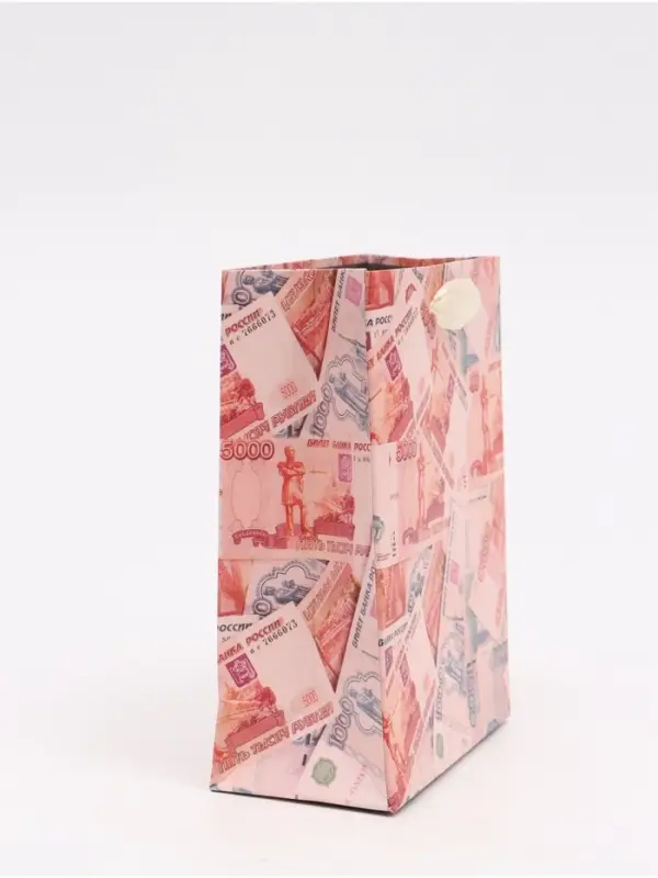 Пакет подарочный &laquo;Деньги&raquo;, S 12 &times; 15 &times; 5,5 см
