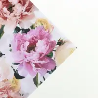 Бумага упаковочная тишью, &laquo;Райский сад&raquo;, 50 см &times; 70 см 17 грамм