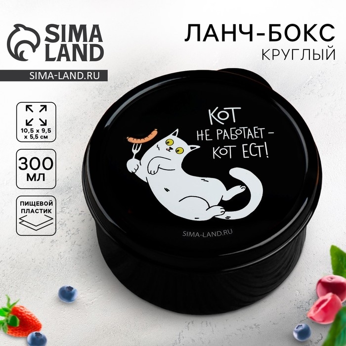 Ланч-бокс &laquo;Кот не работает&raquo;, 0.3 л