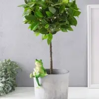 Сувенир полистоун "Лягуха с лимонадом" 5,3х5,5х10,3 см