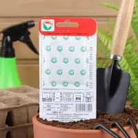 Семена Морковь "Нантская улучшенная", 2 г