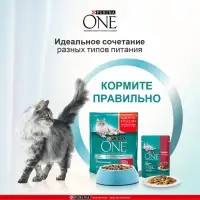 Влажный корм Purinа One для кошек, говядина/морковь, 75 г