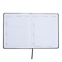 Дневник универсальный для 1-11 класса Anime Comix, интегральная обложка, искусственная кожа, шелкография, ляссе, 80 г/м2