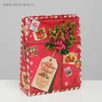 Пакет подарочный новогодний ламинированный &laquo;Подарок от Деда Мороза&raquo;, MS 18 х 23 х 11.5 см