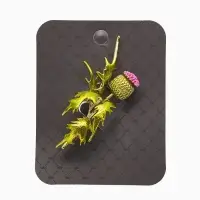 Брошь "Чертополох" растение, зелёно-розовый в золоте