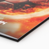 Дневник школьный 1-4 класса, в твердой обложке, 48 л &laquo;Футбольный мяч&raquo;