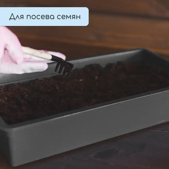 Ящик для рассады, 36 &times; 14 &times; 9 см, 3 л, пластик, чёрный