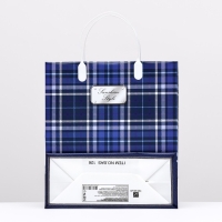 Пакет "Роял", синий, мягкий пластик, 26 x 23 см, 110 мкм