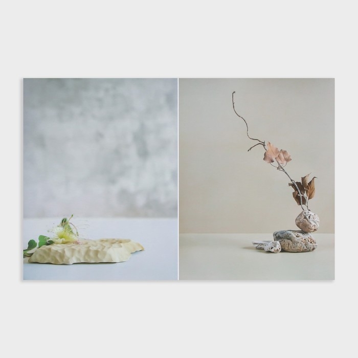 Фотофон двусторонний бумага 300 гр "Изящные растения" 57х87 см