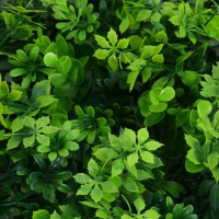 Декоративная панель, 60 &times; 40 см, &laquo;8-ми листник&raquo;, Greengo