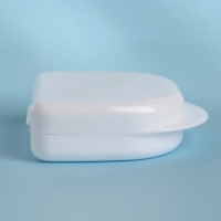 Контейнер для хранения протезов, 8,5 &times; 8 &times; 2,7 см, цвет МИКС