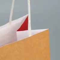 Пакет подарочный крафтовый, упаковка, &laquo;Душнила&raquo;, 12 х 21 х 9 см