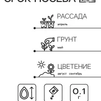 Семена Астра Контрастер, смесь окрасок