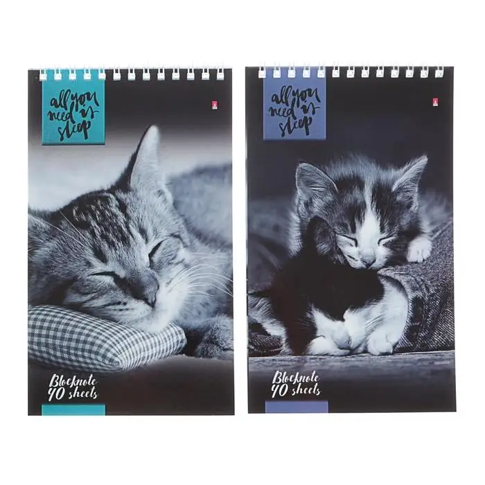 Блокнот А5, 40 листов на гребне "Кошки", МИКС