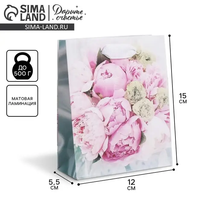 Пакет подарочный ламинированный, упаковка, &laquo;Радости!&raquo;, S 12 х 15 х 5.5