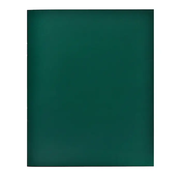 Тетрадь 48 листов в клетку Calligrata, бумвинил, блок №2, белизна 75% (серые листы), эконом, зелёный