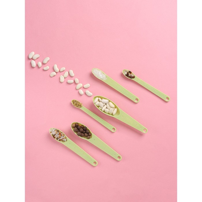 Набор мерных ложек Доляна &laquo;Изящество&raquo;, 6 шт, 13&times;3 см, цвет МИКС