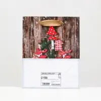 Пакет ламинированный &laquo;Зимние чудеса&raquo; 11,5 х 14,5 х 6 см