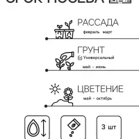 Семена цветов Пеларгония "Нано", ц/п,  "Лососевая", ц/п,  3 шт