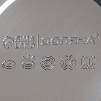 Чайник со свистком из нержавеющей стали Доляна &laquo;Квант&raquo;, 2,8 л, фиксированная ручка soft-touch, цвет хромированный