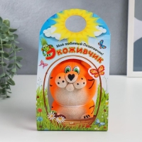 Растущий подарок травка Экоживчик "Тигр"