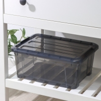 Контейнер для хранения с крышкой &laquo;Кип&raquo;, 11 л, 37,5&times;28,5&times;16 см, цвет чёрный прозрачный