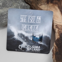 Кольцо &laquo;Вальхалла&raquo; с рунами, цвет бело-синий 18 размер