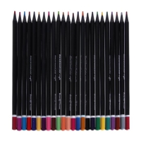 Карандаши 24 цвета BlackWoodColor, пластиковые, трёхгранные, МИКС