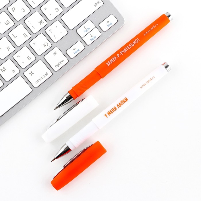 Ручка прикол гелевая черная паста &laquo;Я бы написал поэму, но у меня лапки&raquo;, 2 шт.