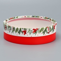 Коробка для макарун тубус с окном &laquo;Новогодняя ботаника&raquo;, 20 х 20 х 5 см, Новый год