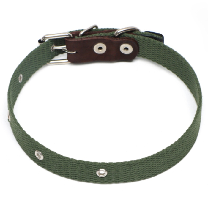 Ошейник брезентовый однослойный, 52 х 2 см, ОШ 25-45 см, тёмно-зелёный