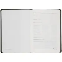 Ежедневник Alanis, недатированный, черный c зеленым