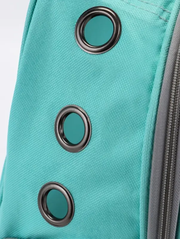 Рюкзак для переноски животных прозрачный, 31 х 28 х 42 см, бирюзовый