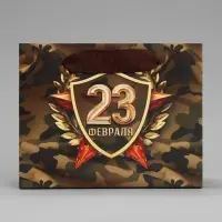 Пакет подарочный ламинированный, упаковка, &laquo;С 23 февраля&raquo;, S 15 х 12 х 5.5 см