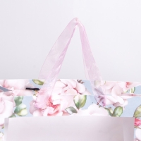 Пакет подарочный крафтовый с пластиковым окном, упаковка, &laquo;Beautiful&raquo;, 24 х 20 х 11 см