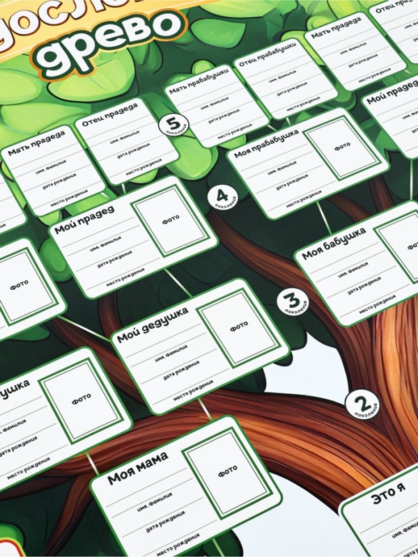 Генеалогическое древо "Мое родословное древо" 90,6х59,6см