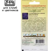 Семена гвоздика &laquo;Фиолетовая&raquo;, 0.1 г