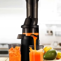 Соковыжималка шнековая КТ-1128 соковыжималка электрическая