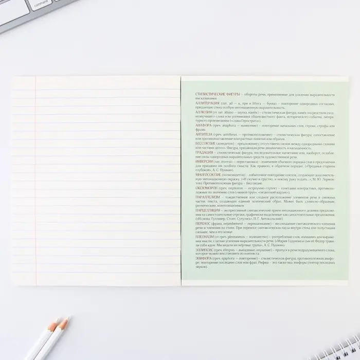 Тетрадь в линейку, предметная, 48 л.,на скрепке, А5 &laquo;ГРАДИЕНТ. Литература&raquo;