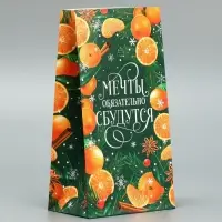 Пакет без ручек &laquo;Мечты обязательно сбудутся&raquo;, мандарины, 10 х 19.5 х 7 см, Новый год