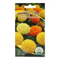 Семена цветов Бархатцы прямостоячие "Хлопушка", 0,2 г