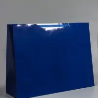 Пакет ламинированный горизонтальный "Синий", XXL  61 х 46 х 20 см